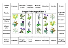 Bingo-Frühlingsblüten-2-B.pdf